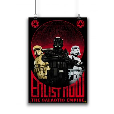 Star Wars™-The Galactic Empire Poster