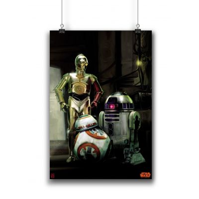 Star Wars™-The Rebel Droids Poster